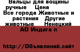 Вальцы для вощины ручные  › Цена ­ 10 000 - Все города Животные и растения » Другие животные   . Ненецкий АО,Индига п.